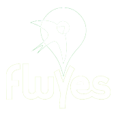 FLUYES CLIENTE